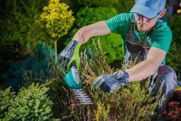 landscaping services Plainwell